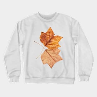 2 leaves in autumn Crewneck Sweatshirt